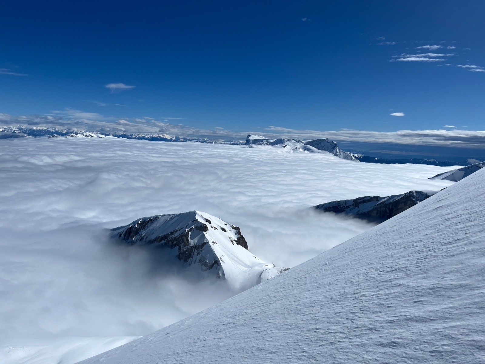 &nbsp;Quelques têtes émergent&nbsp;