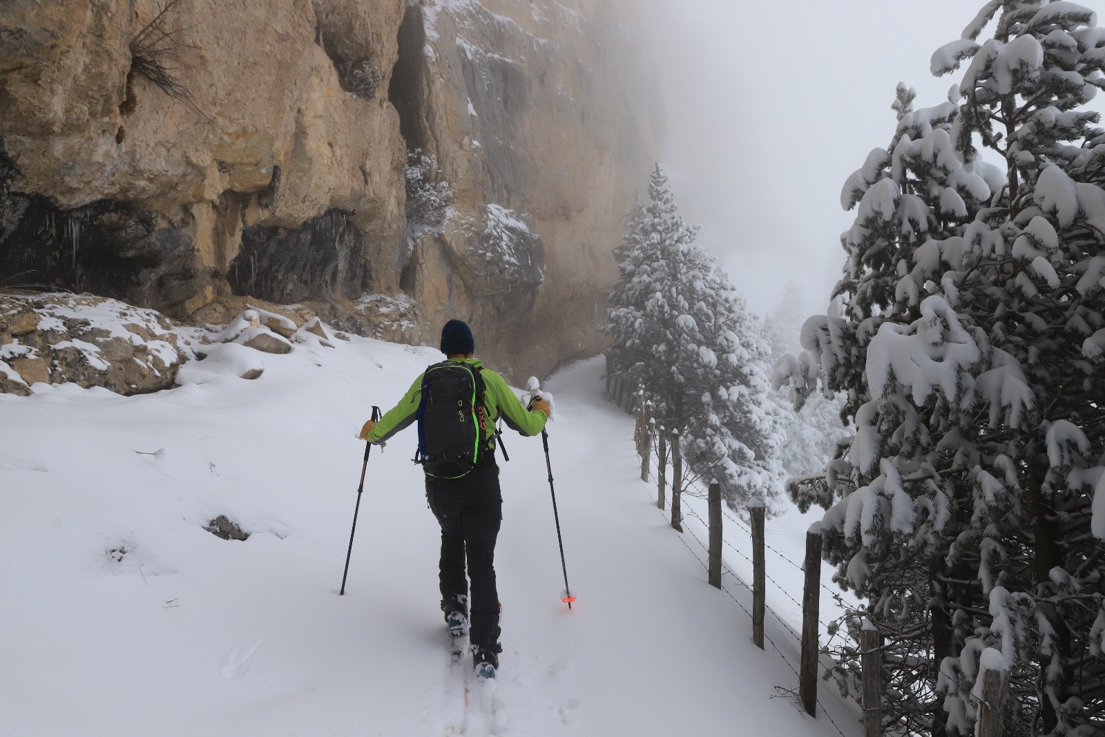 Pas de vue aujourd'hui...