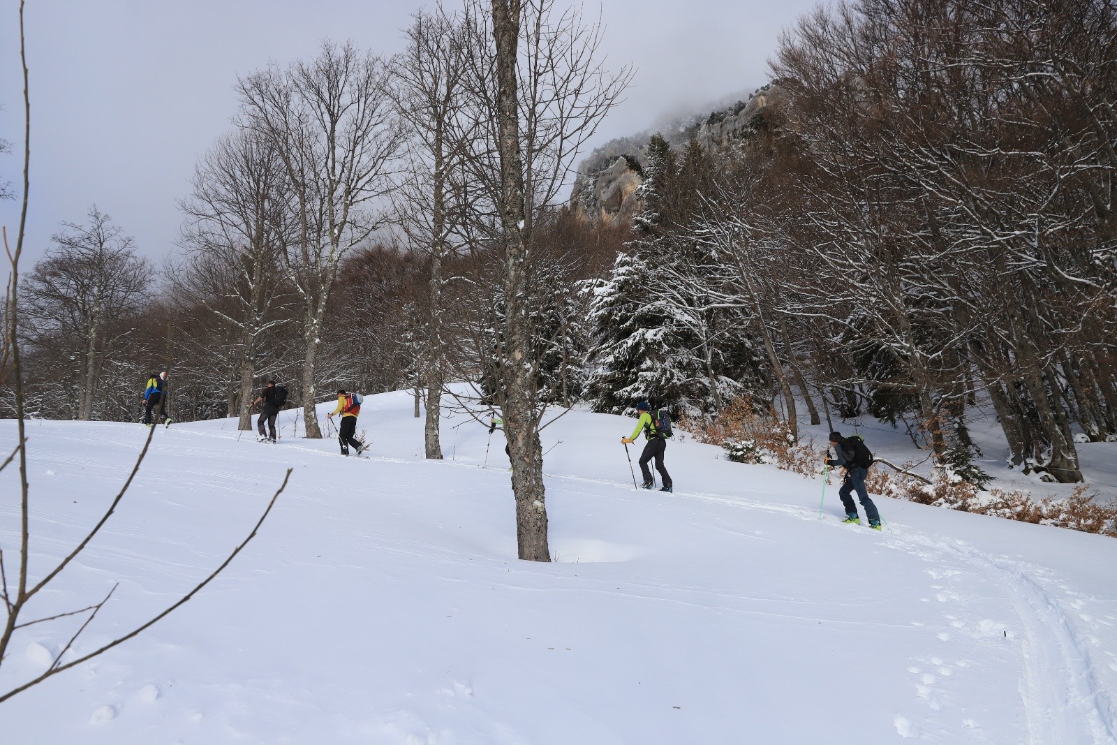 Dans la petite clairière avant l'Aulp du Seuil