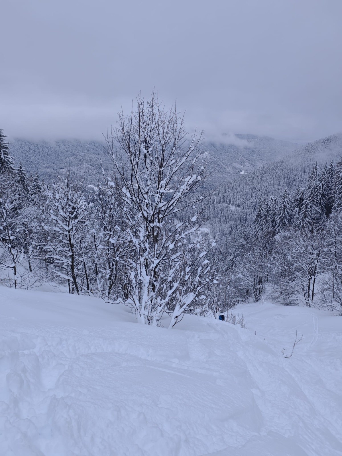 #10 9 Grand ski dans les combes du ruisseau perdu 9 Grand ski dans les combes du ruisseau perdu