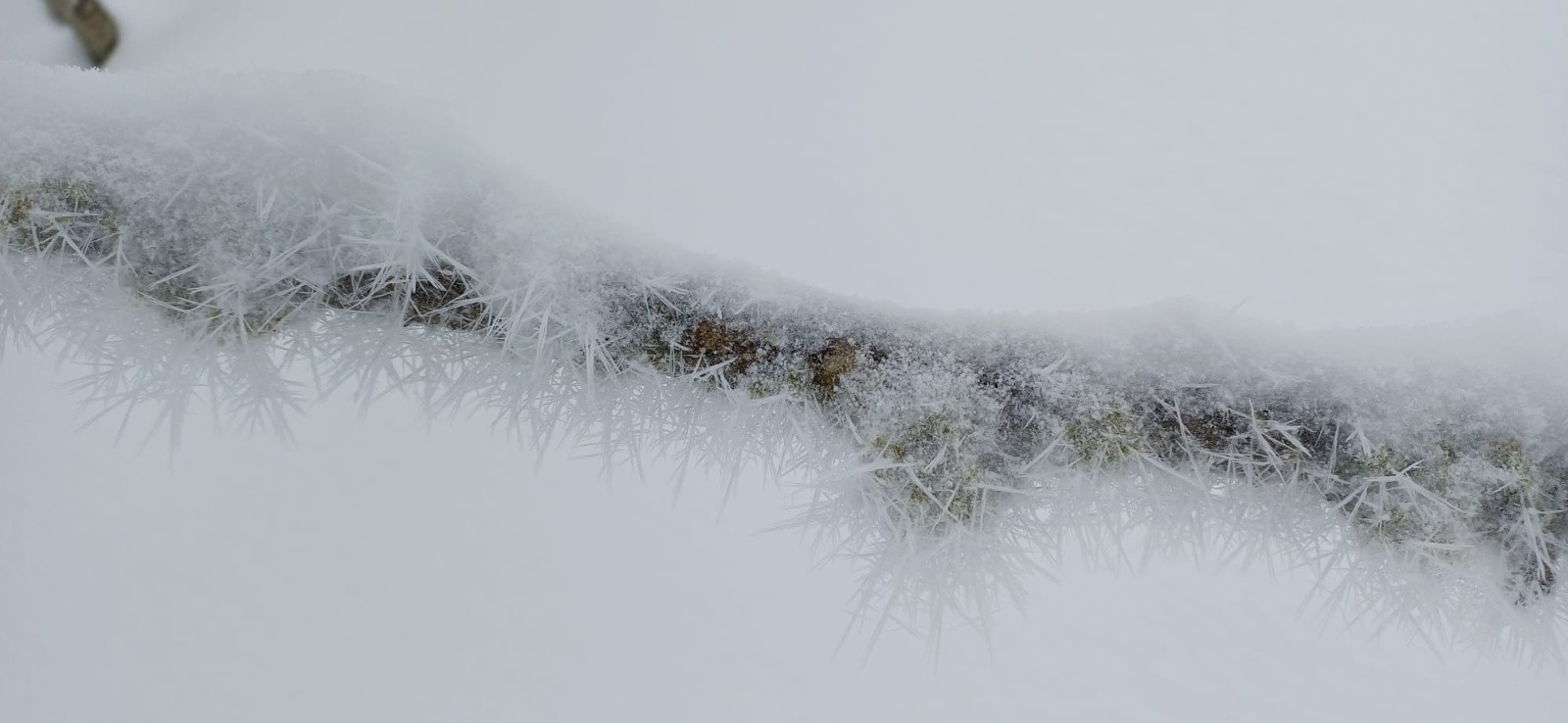 #4 3 Le brouillard givrant dans ses oeuvres 3 Le brouillard givrant dans ses oeuvres
