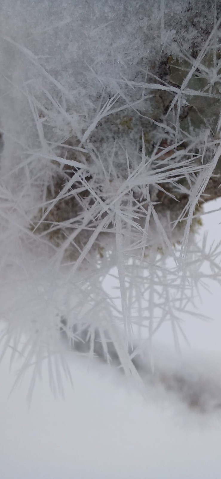 #3 2 spectaculaire 2 spectaculaire