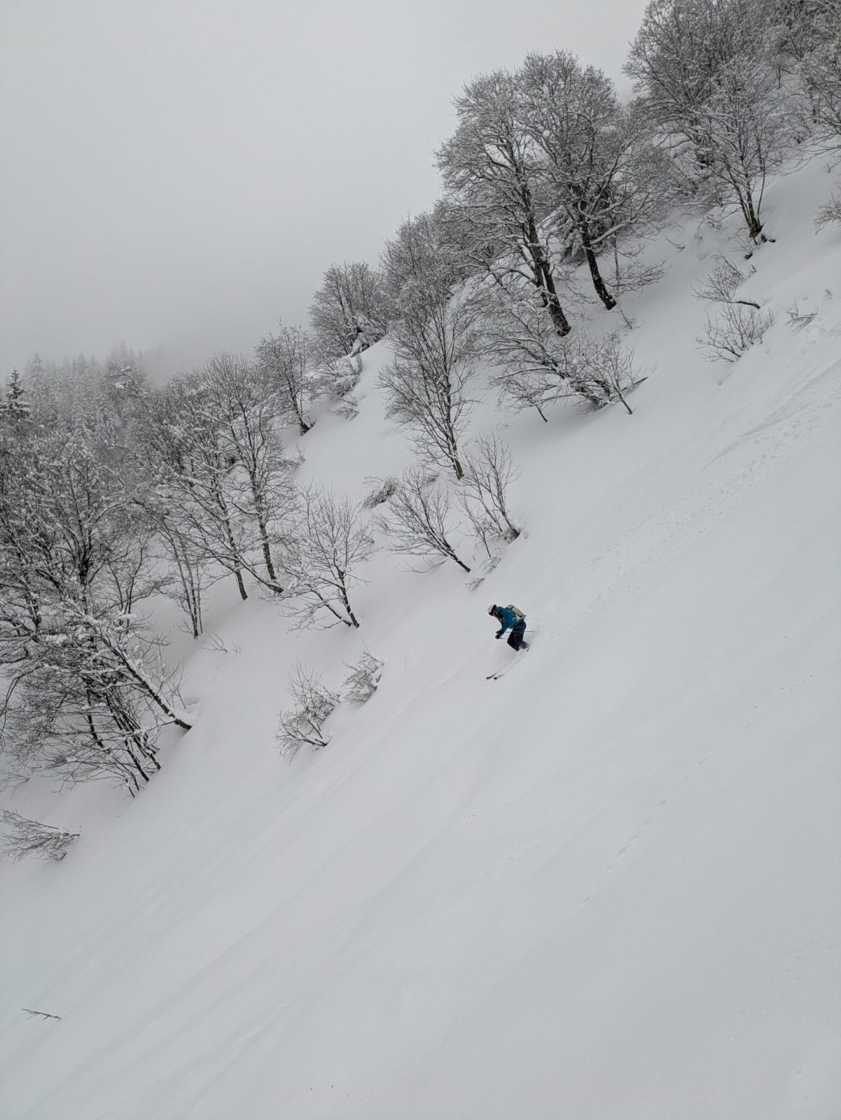 #11 9.1 On s 9.1 On s'amuse