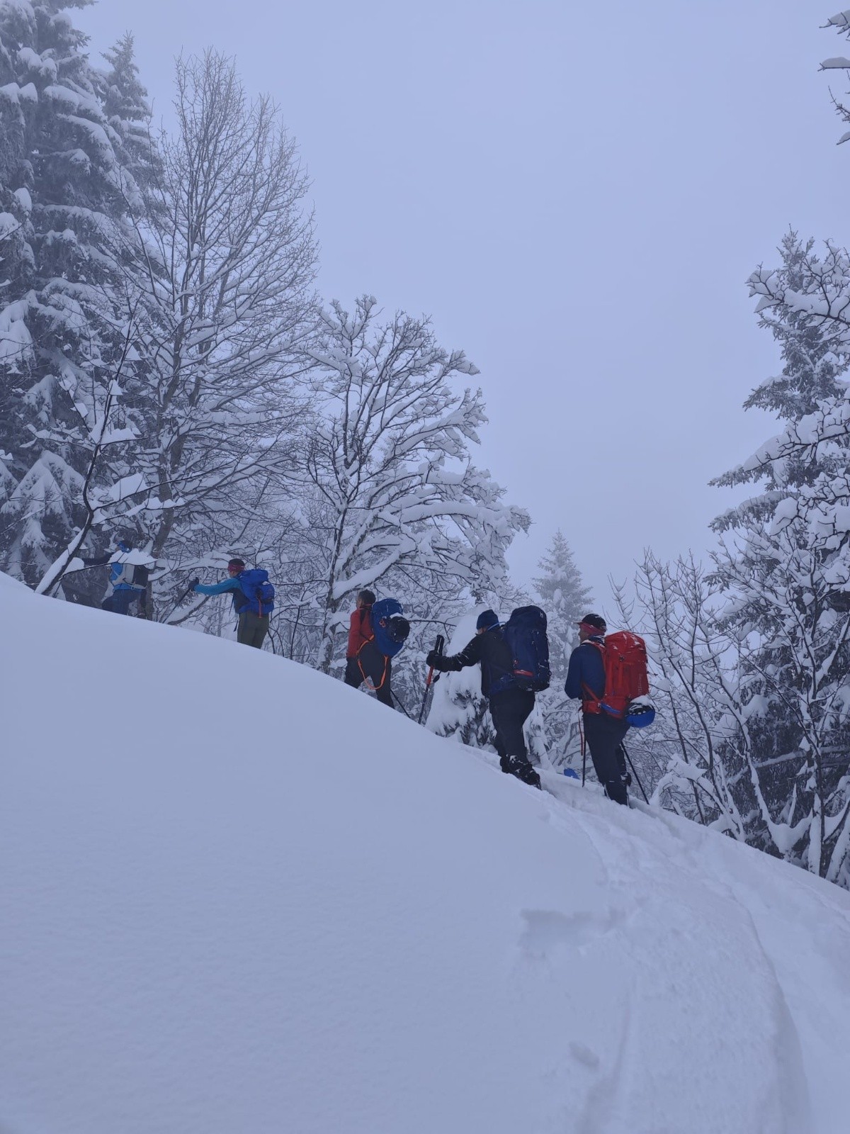 #2 1 Dans la quiétude ouatée 1 Dans la quiétude ouatée