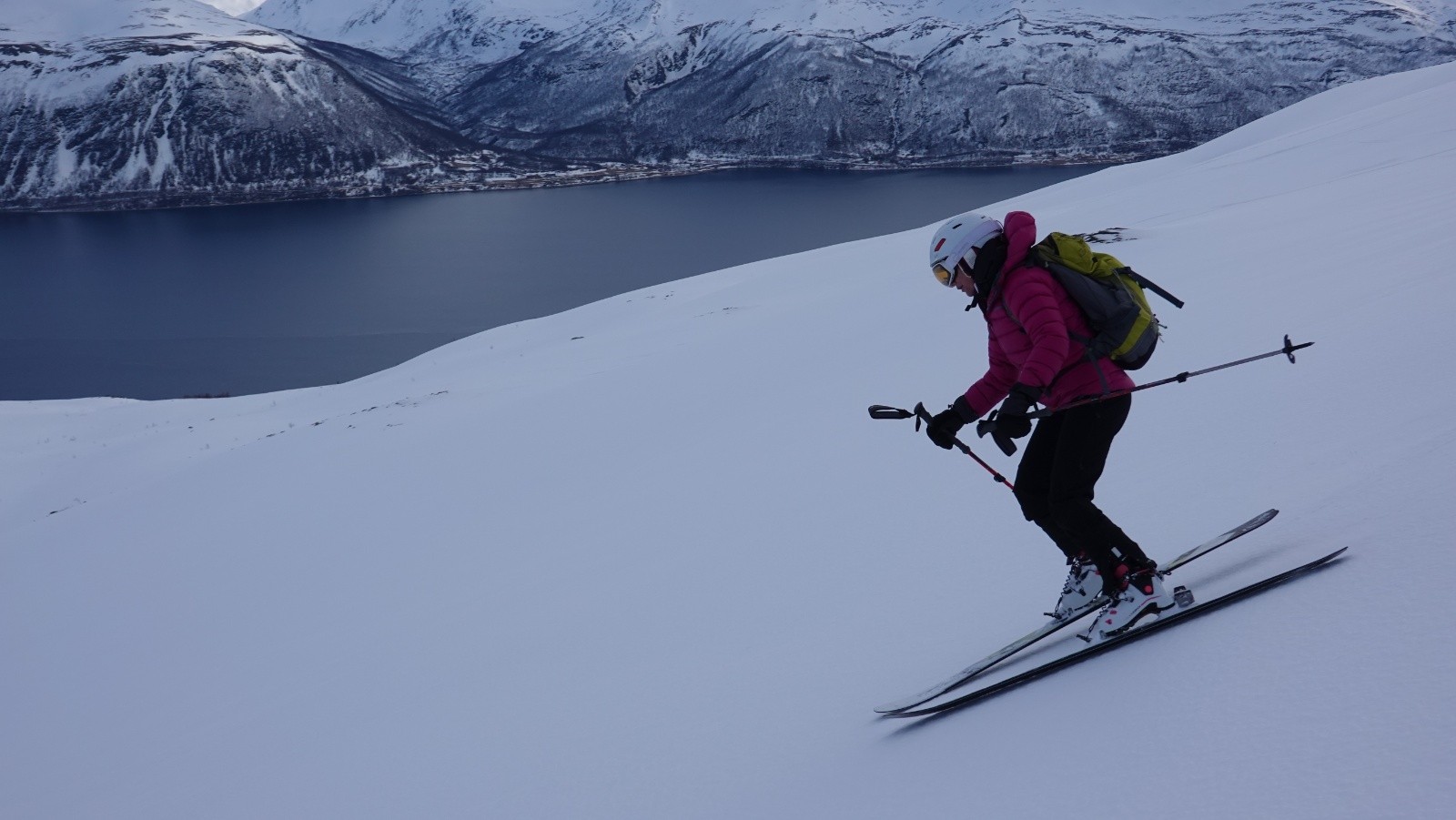 Fannie en cours de descente