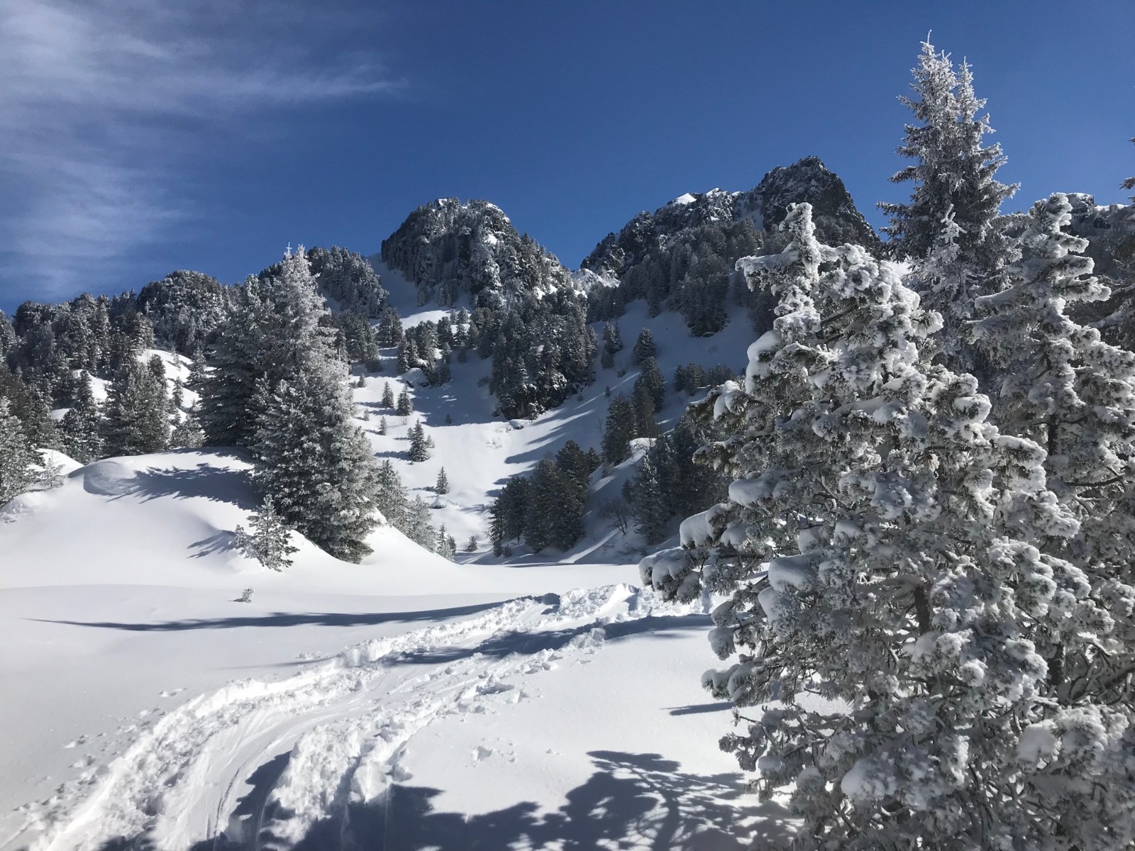 &nbsp;Le jardin de poudreuse en montant&nbsp;