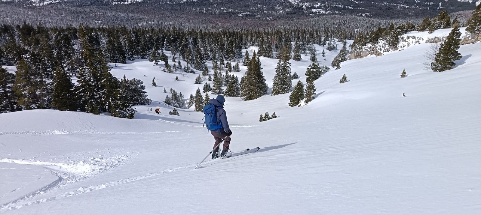 Bien enneigé au dessus de la forêt&nbsp;