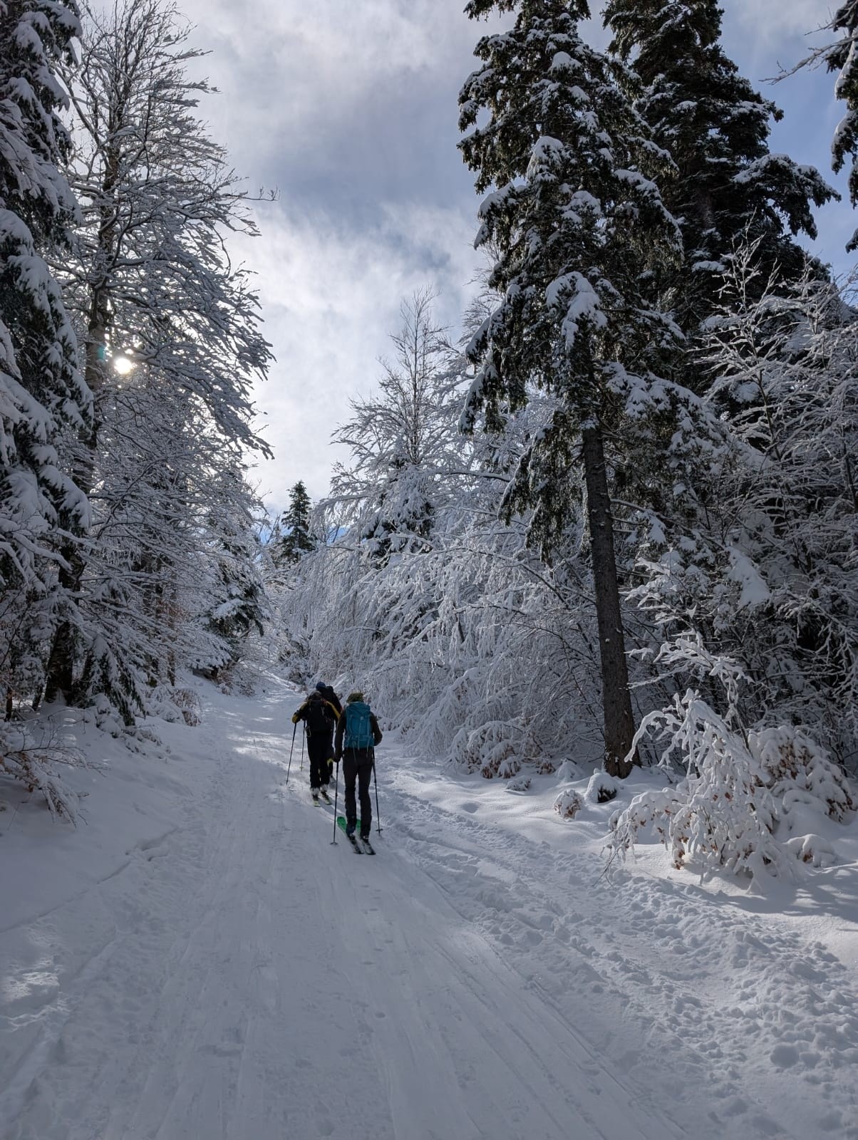 &nbsp;10 cms de fraîche au départ&nbsp;