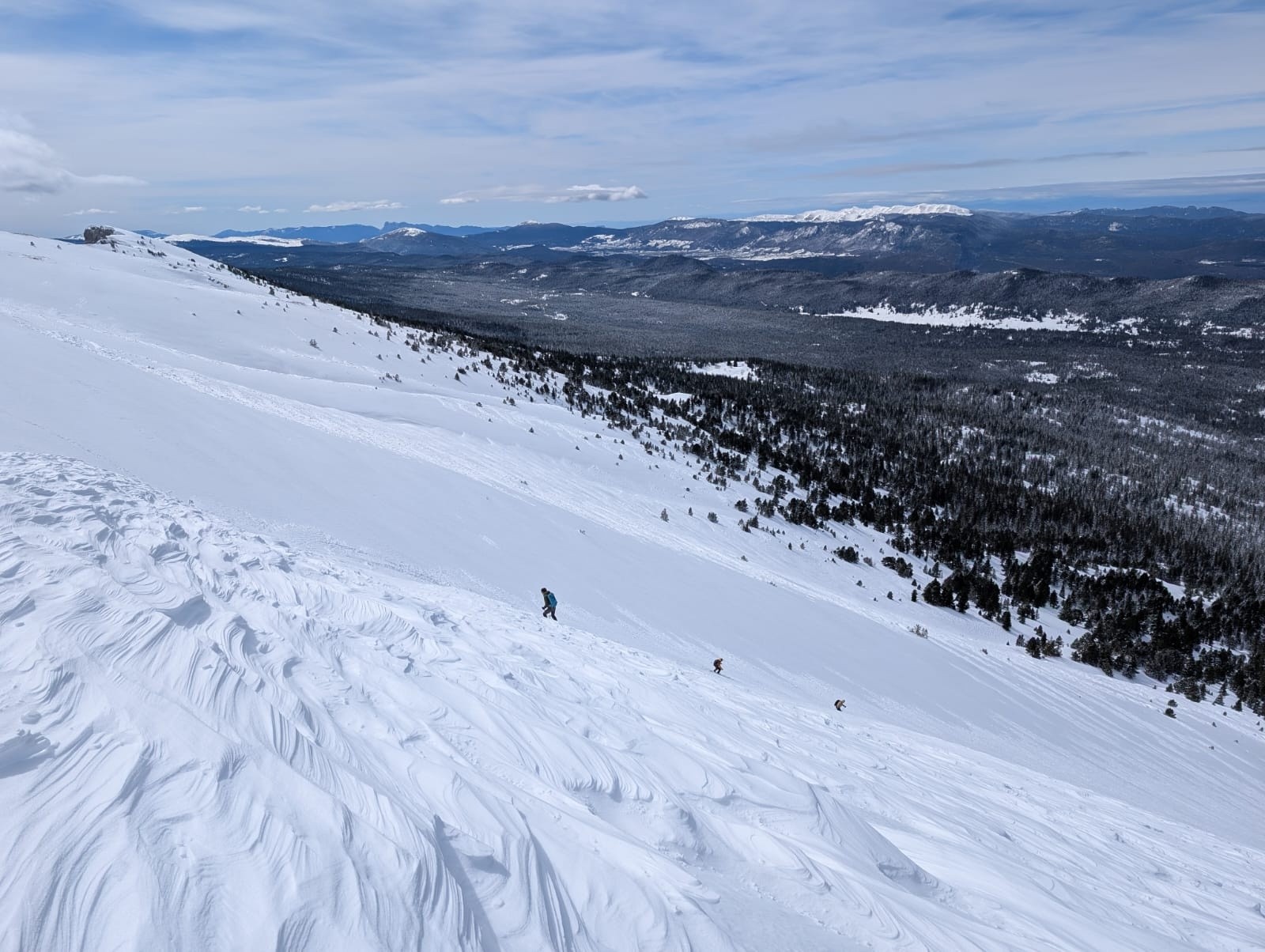 &nbsp;Le haut c'est gelé ou carton&nbsp;