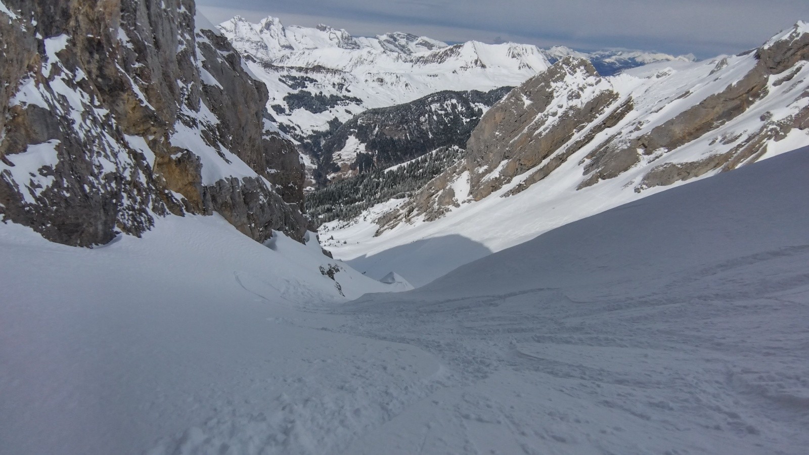 #8 Par ici les amis ! Par ici les amis !