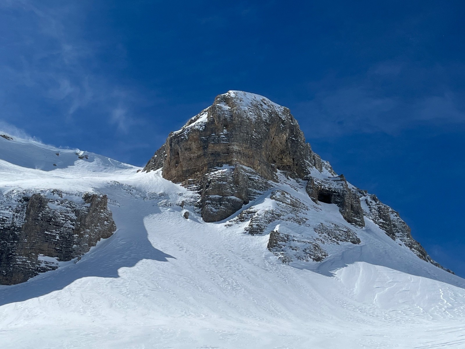 &nbsp;Tête Noire&nbsp;