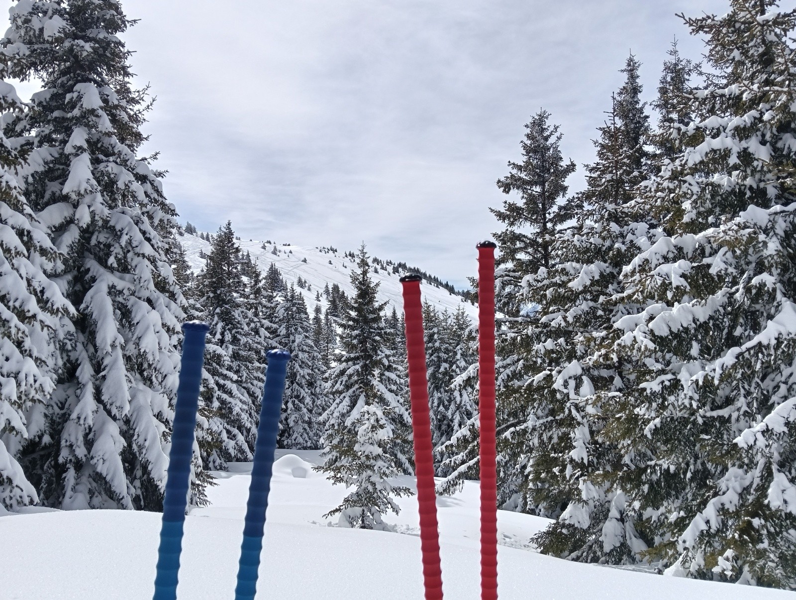 Pique-nique dans la foudreuse&nbsp;