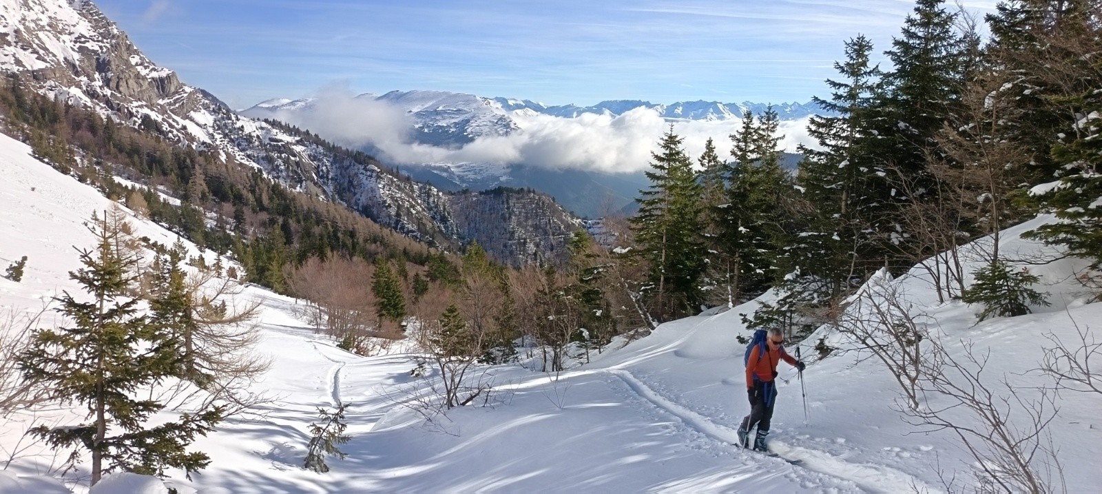 &nbsp;Sortie de la forêt&nbsp;