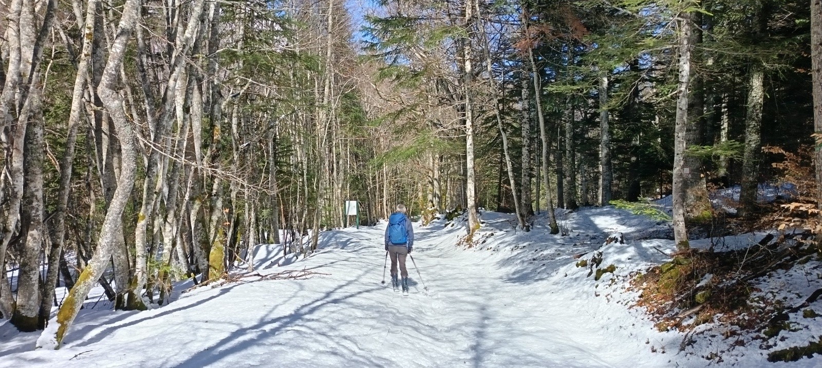 &nbsp;Bon enneigement sur les pistes forestières (1250m)