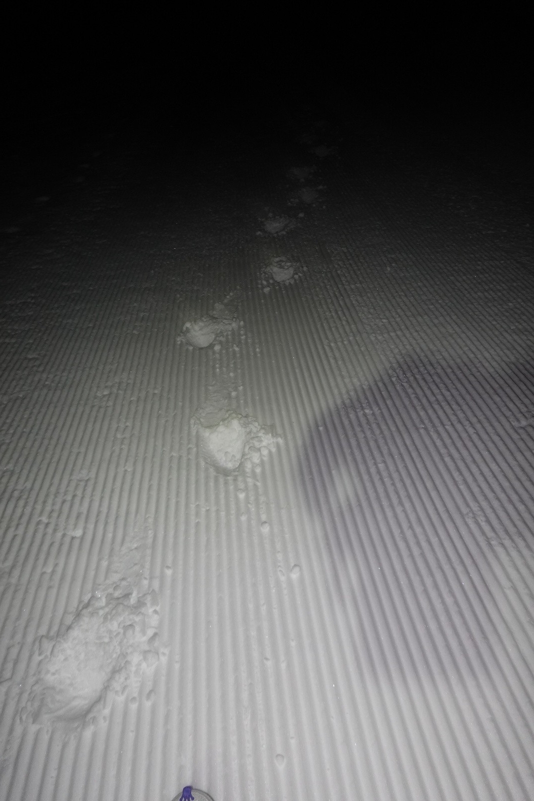 Trace de descente du coureur des cîmes