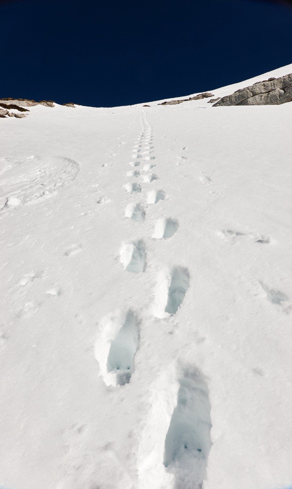 Merci pour la trace...