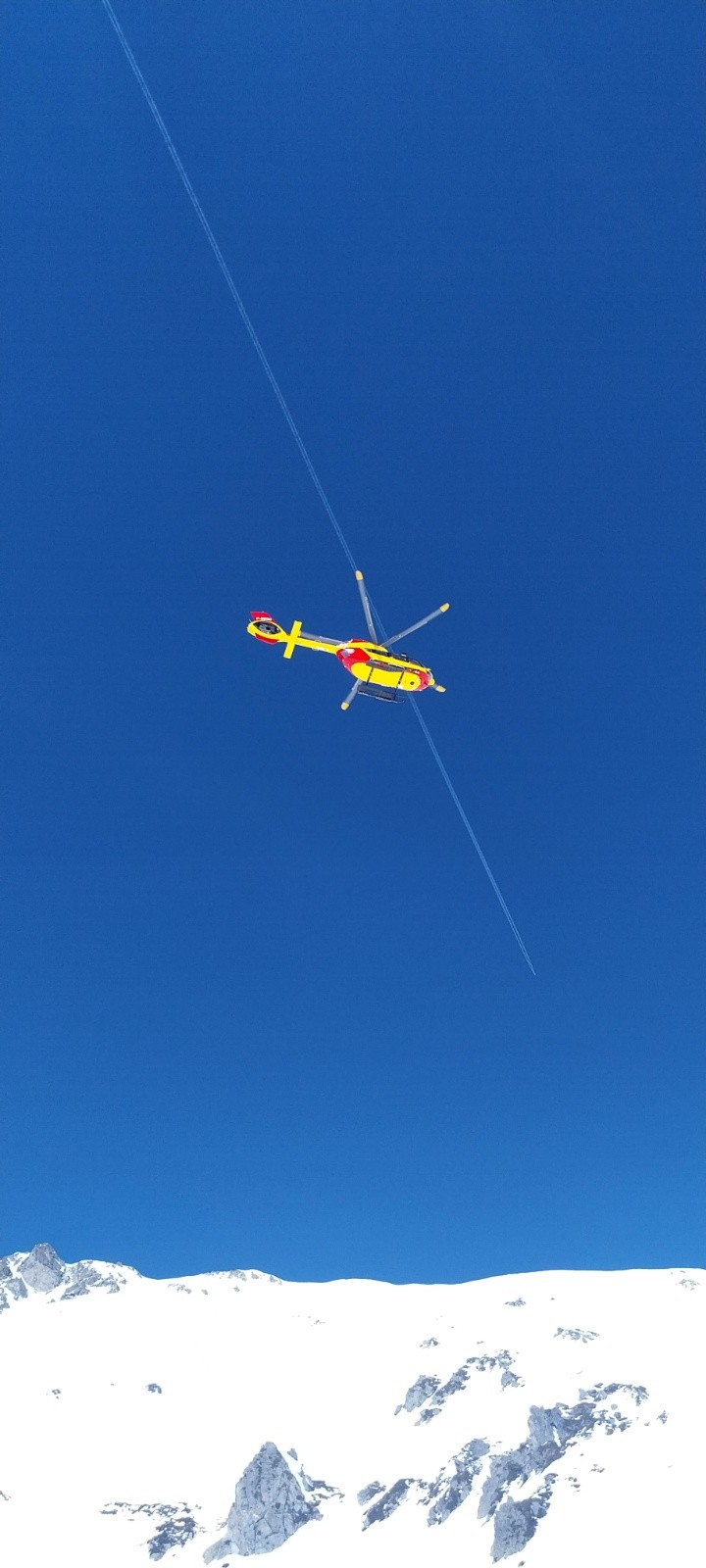 Dragon&nbsp;&nbsp;&nbsp;