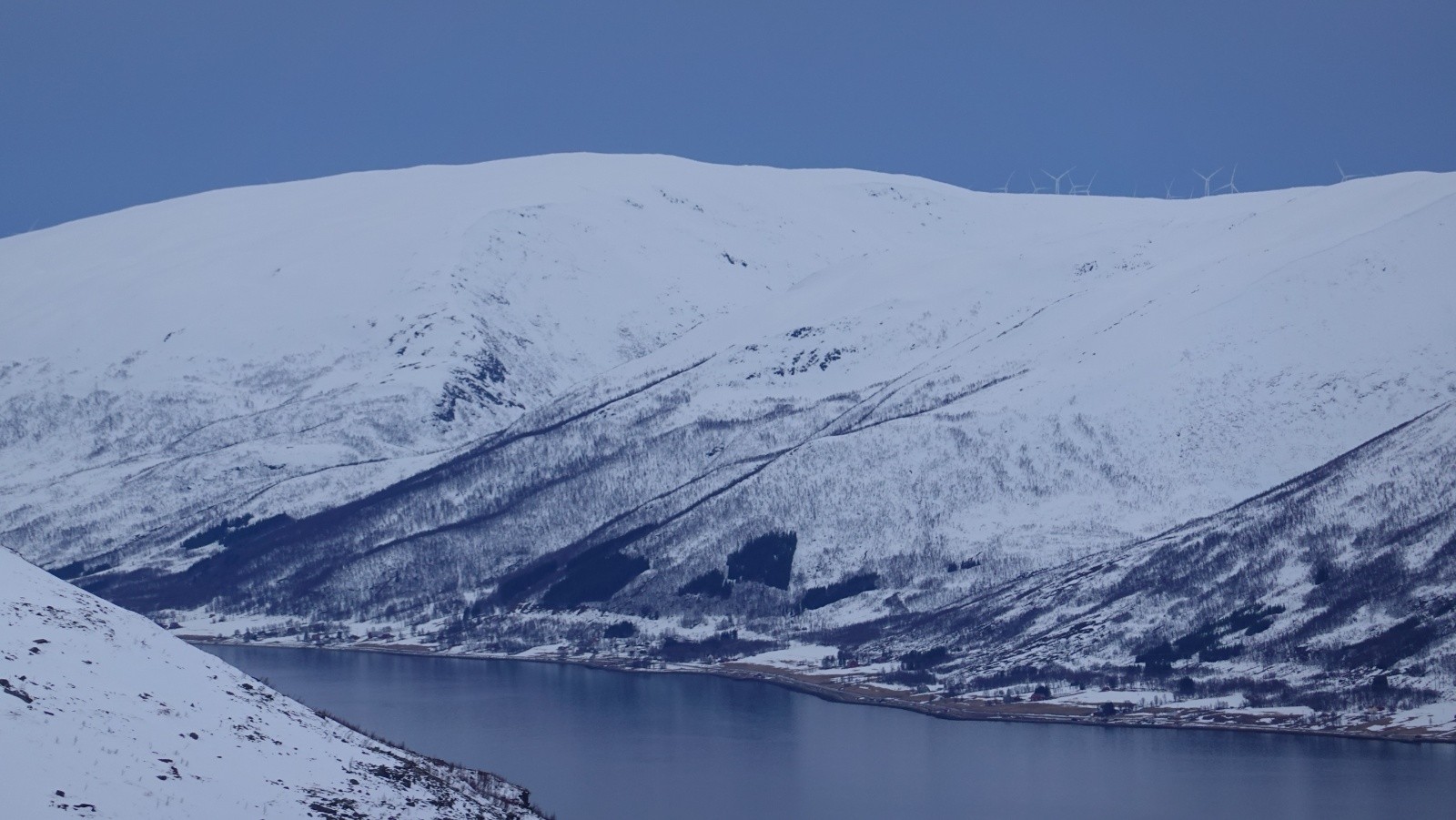 Champ d'éoliennes pris au téléobjectif
