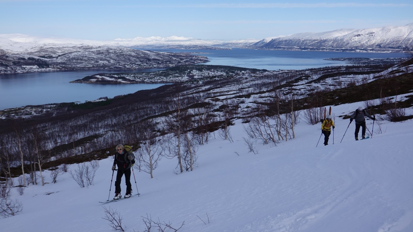 Enfin la sortie de la forêt de bouleaux qui nous aura fait perdre du temps&nbsp;