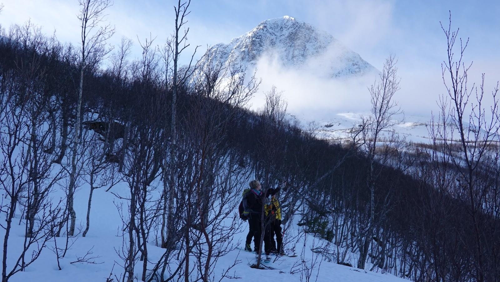 La forêt de bouleaux est dense et la pente se redresse