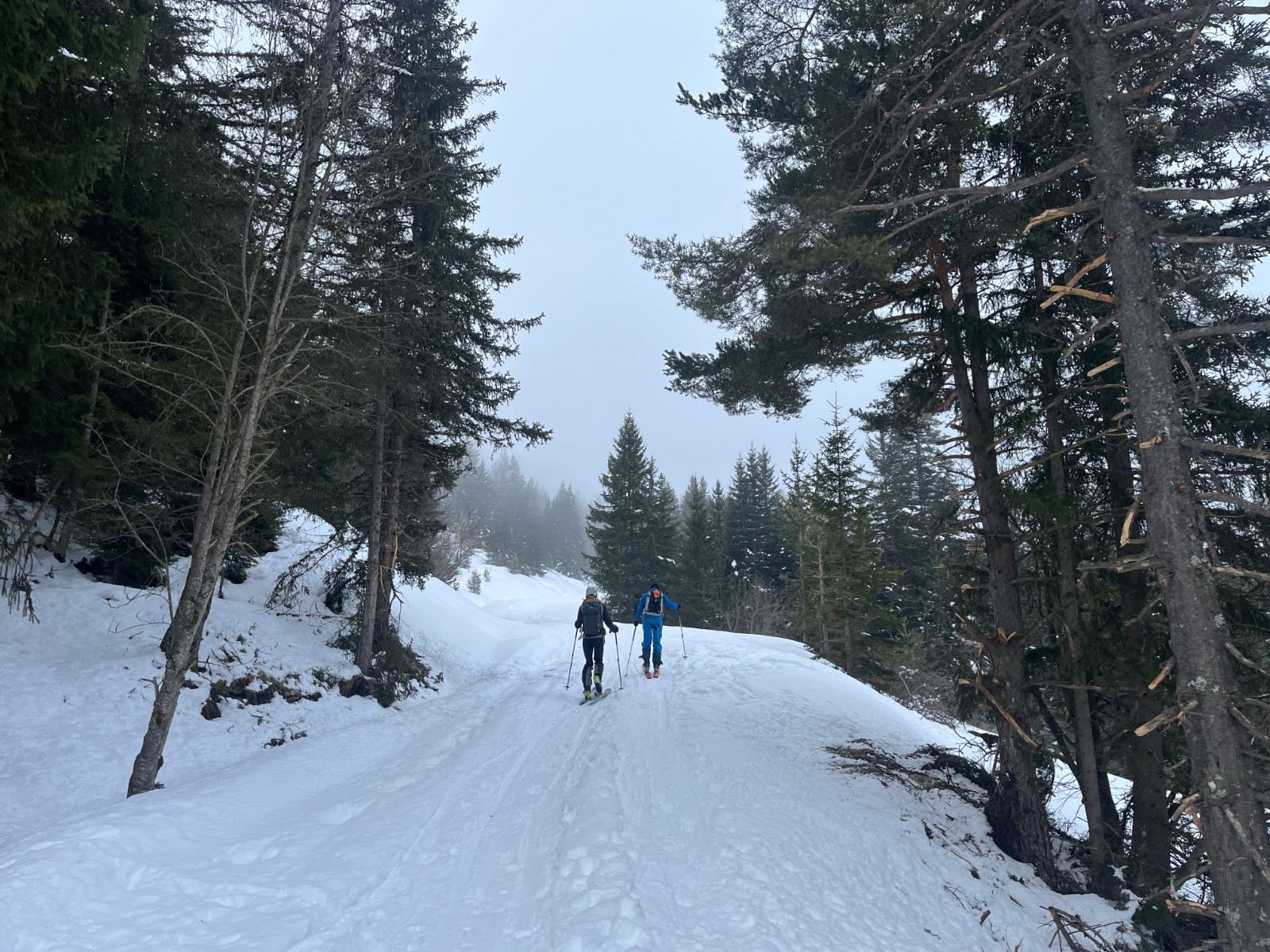 Dans la brume des mauvaises augures&nbsp;