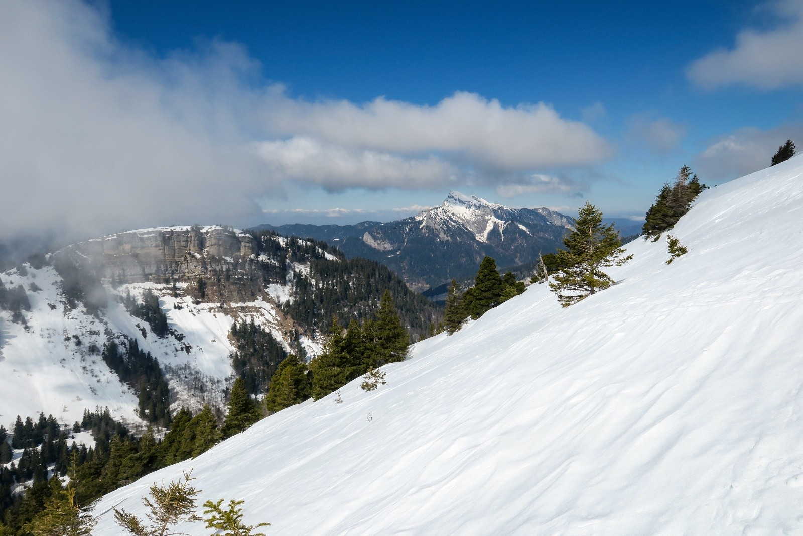 &nbsp;Superbe Chartreuse