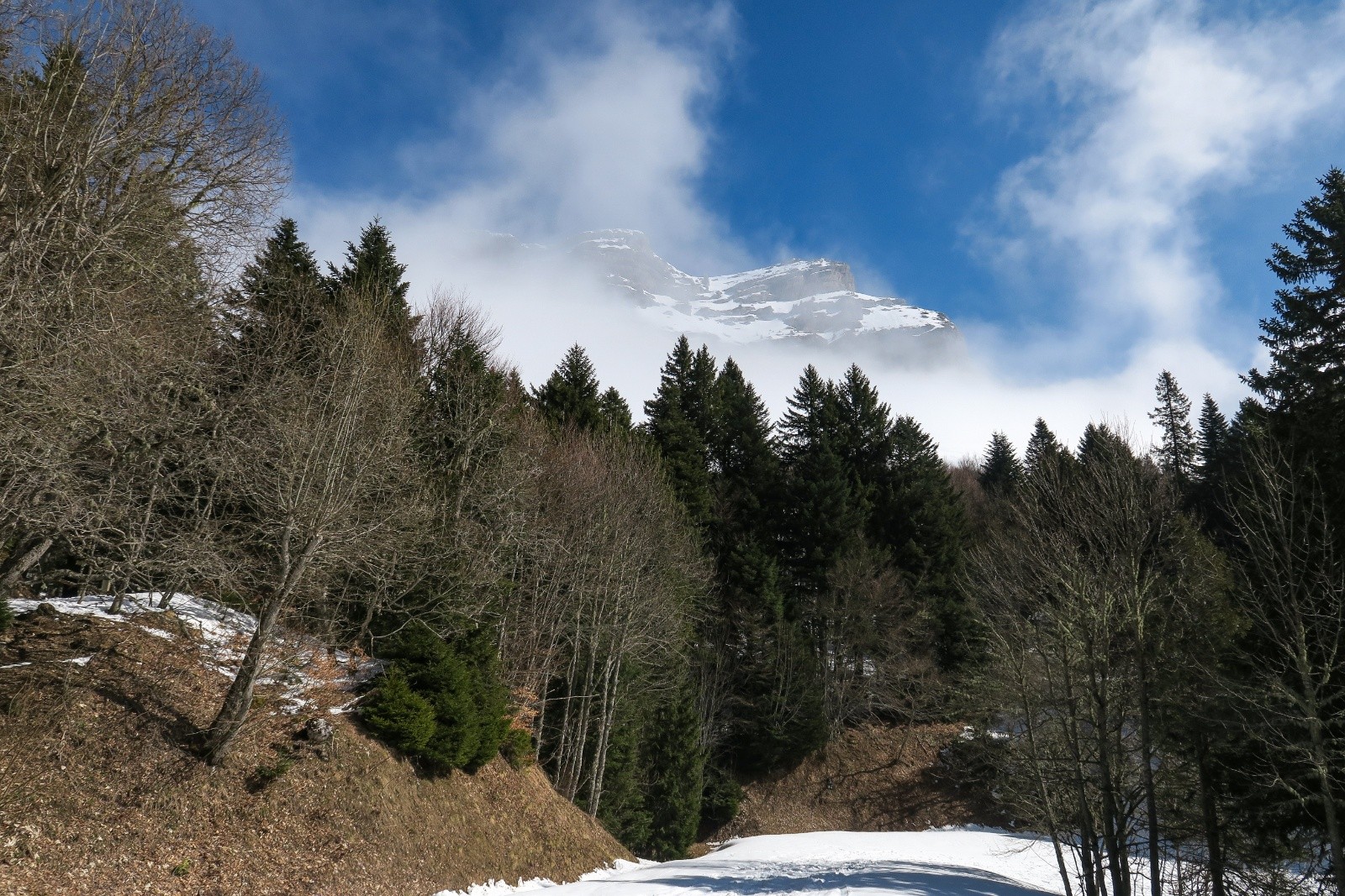 &nbsp;Belle lumière du matin&nbsp;