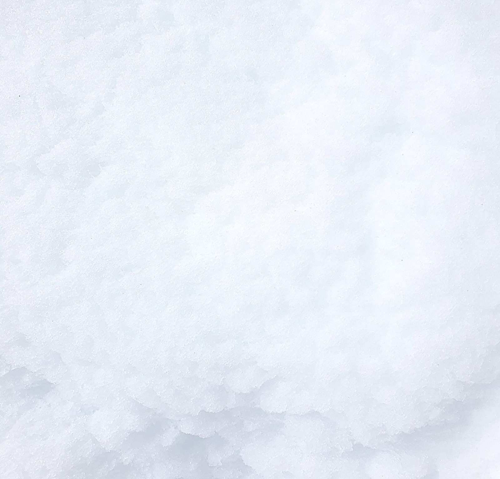 Blanc, c'est blanc, quand les idées noires s'envolent