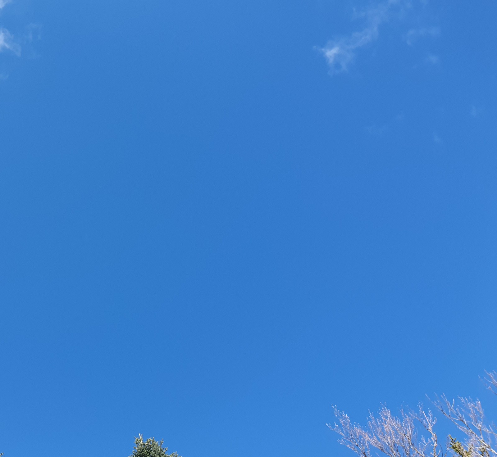 Le grand bleu !!! Assez de ces photographes amateurs qui font passer leur noir&blanc pour de l'art alors qu'ils ont peur de la couleur 😉