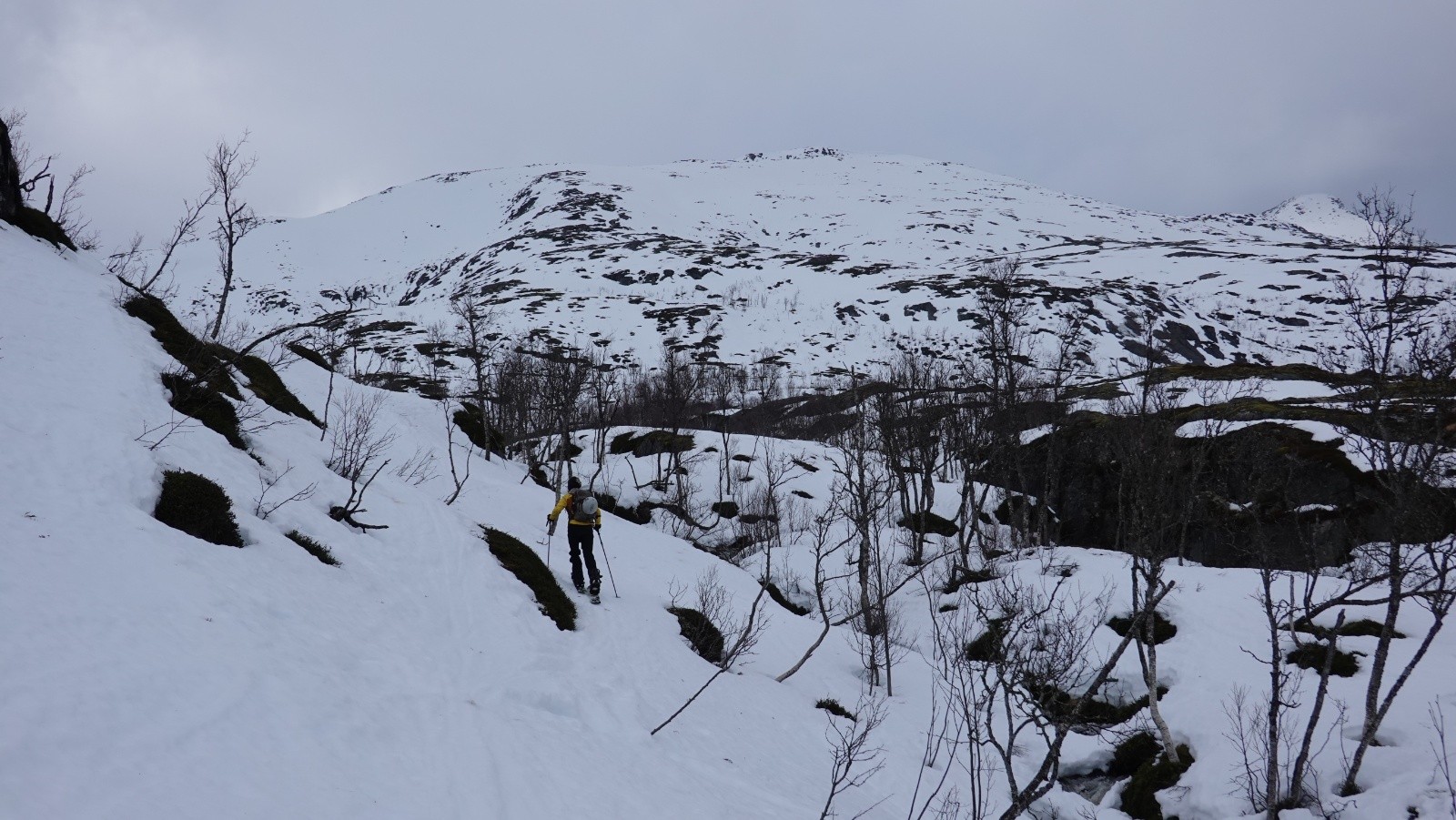 Une partie de l'itinéraire : la pluie tombée la semaine dernière puis depuis hier a considérablement réduit l'enneigement pour une mi-mars