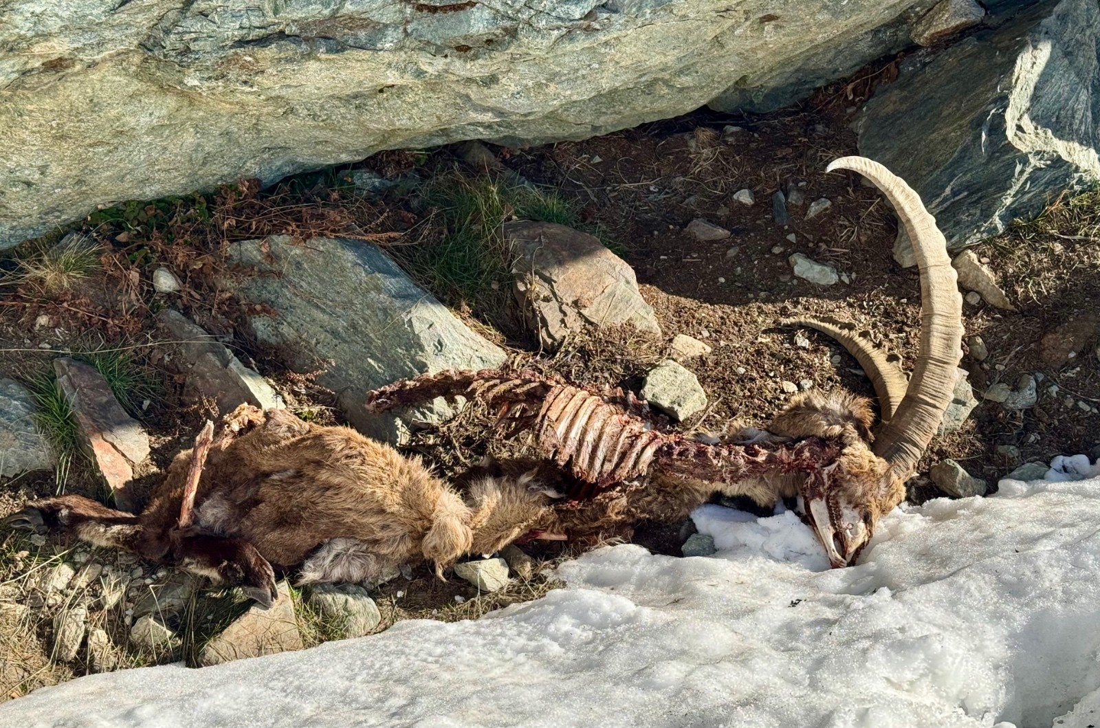 Pas perdu pour tout le monde