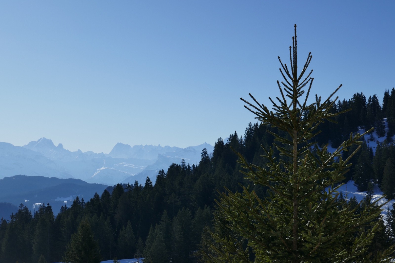 La vue s'ouvre: Verte, Drus, Jorasses, Dent du Géant, A. du Midi.