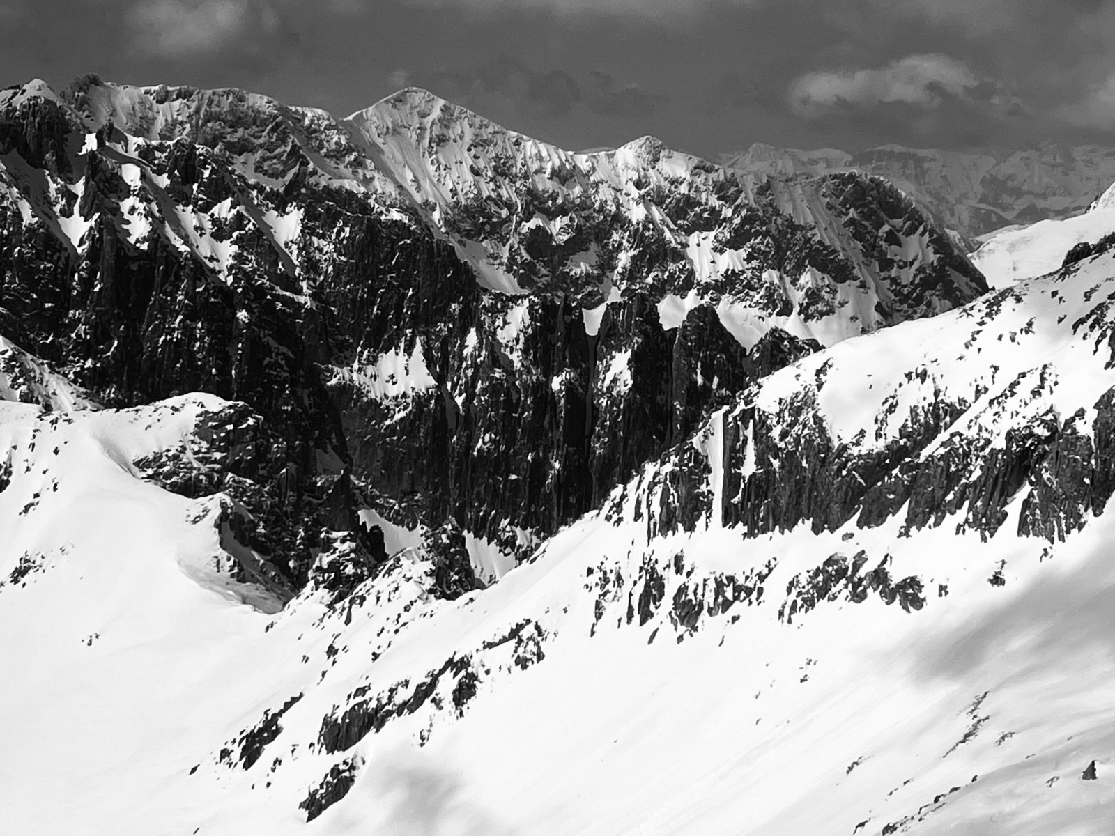 &nbsp;Cresta savoia au premier plan