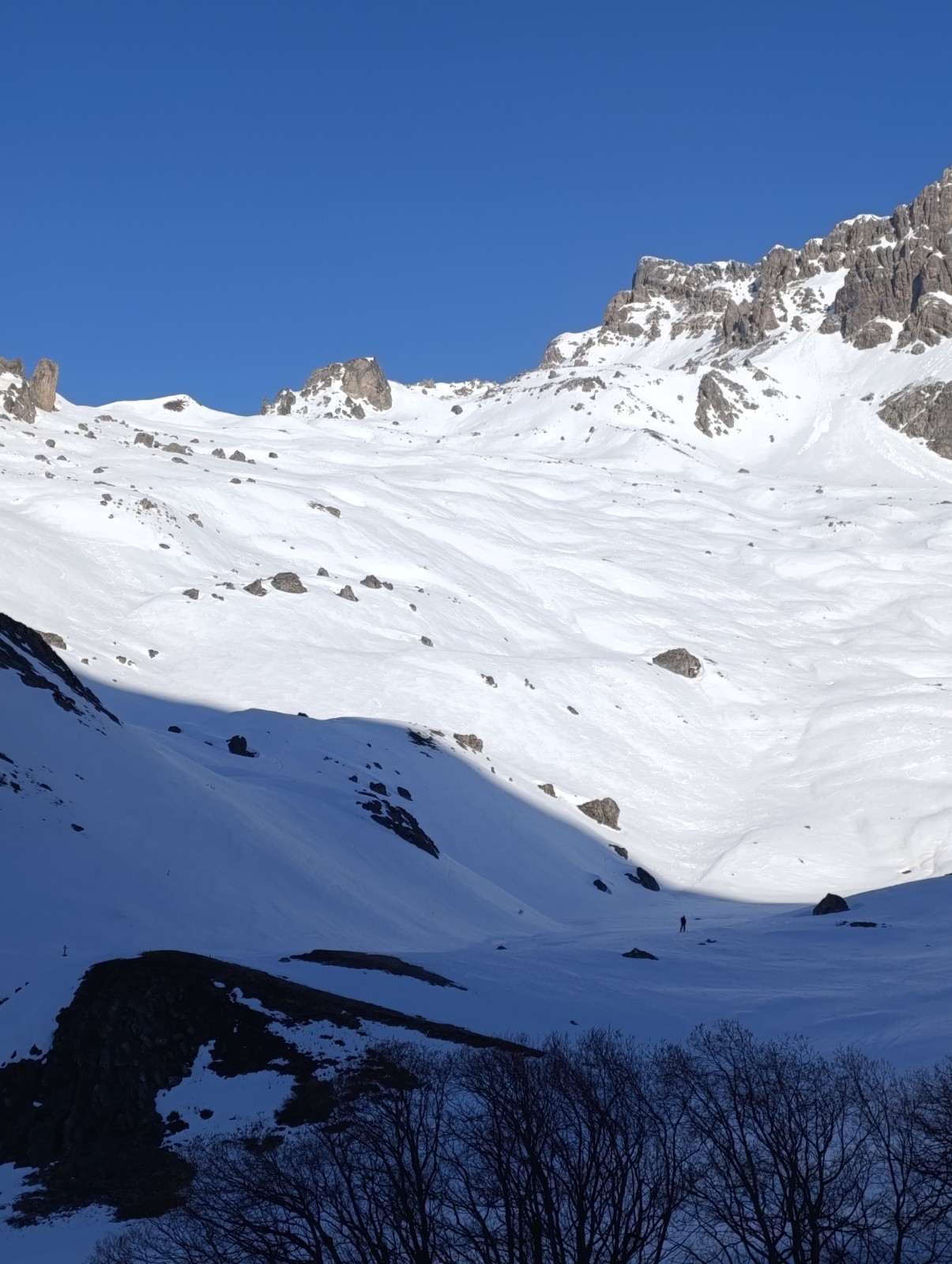 &nbsp;Roche Robert&nbsp;