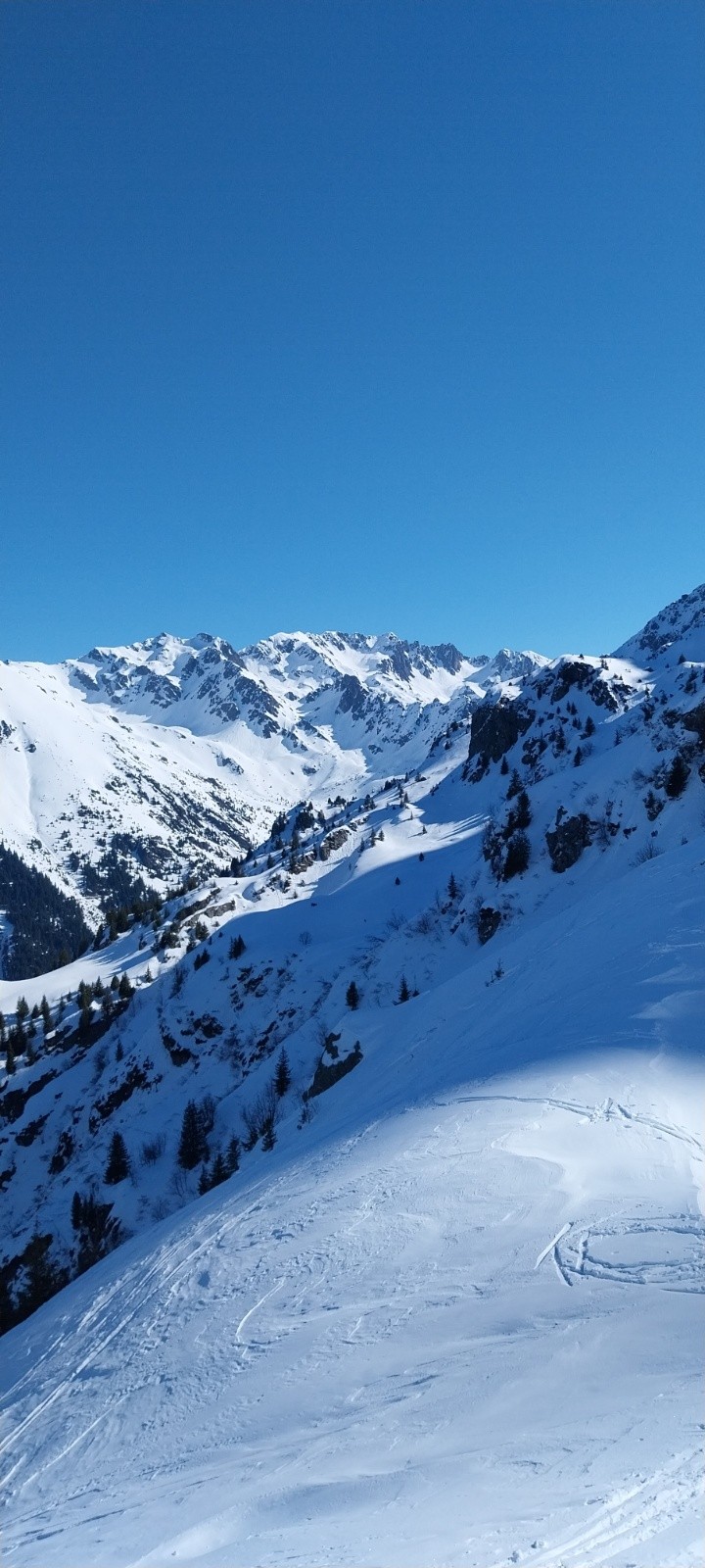 &nbsp;secteur vénétiers