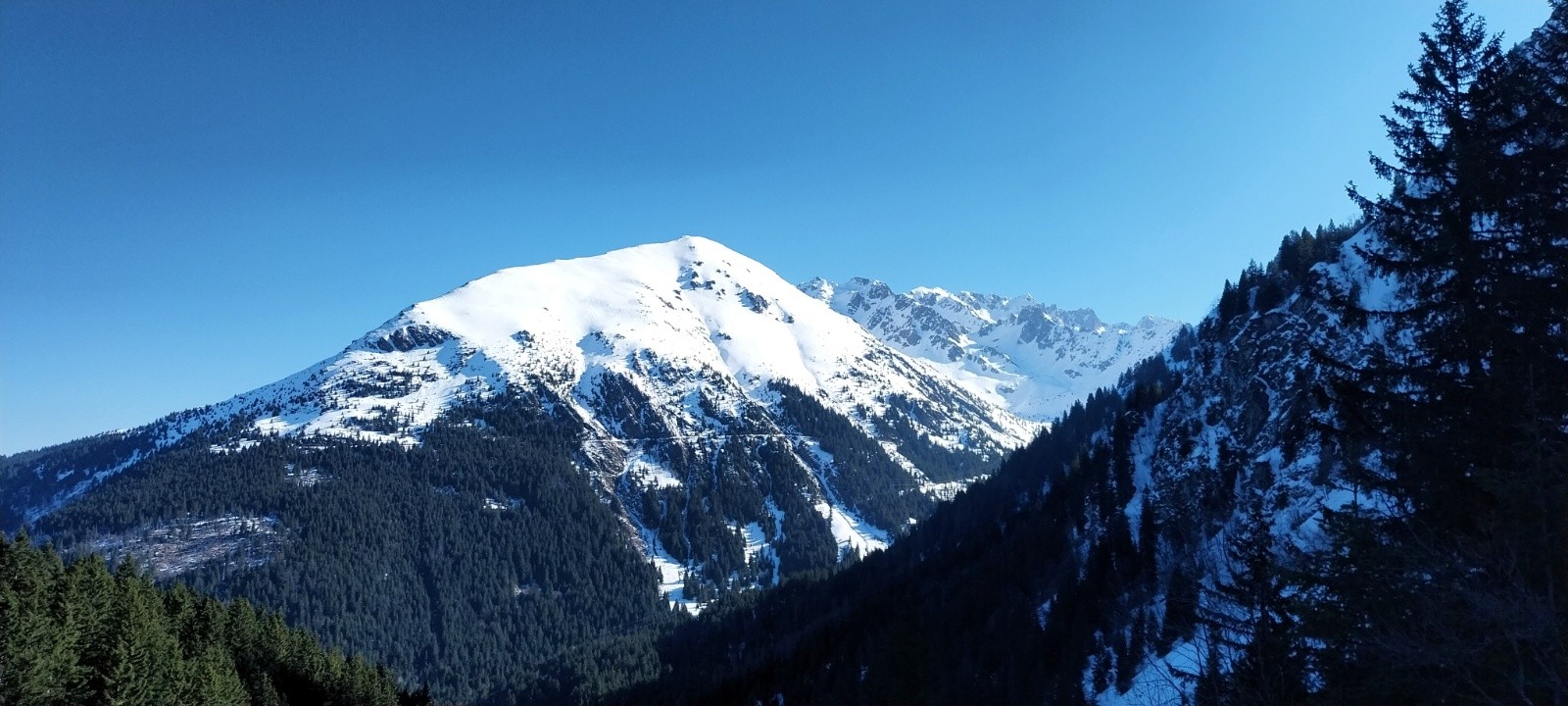 Jas des Lièvres imposant&nbsp;