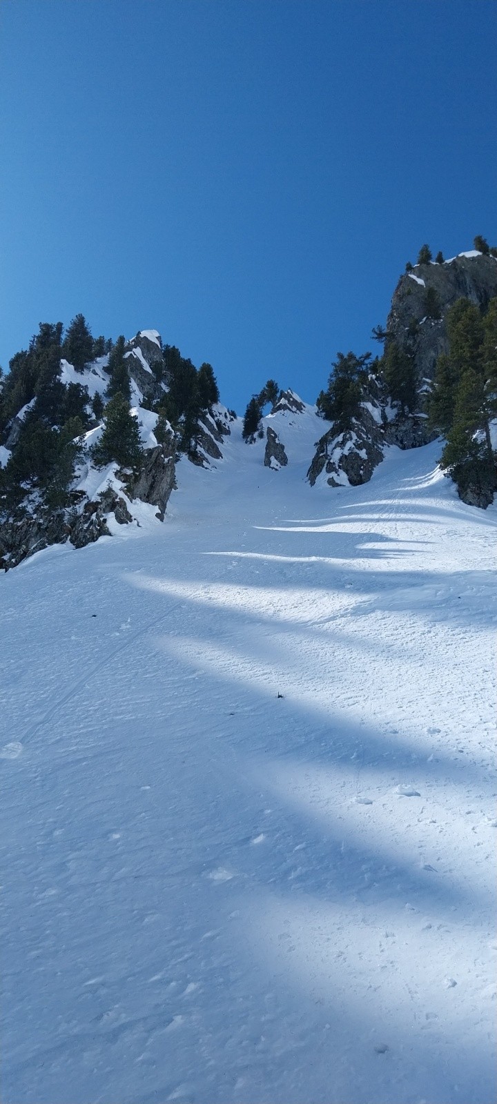 petite arche de sapins&nbsp;