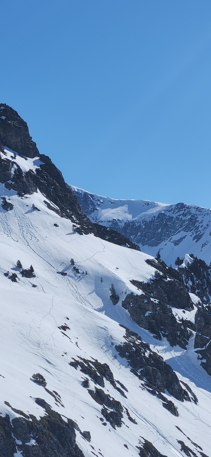 cherchez les bouquetins