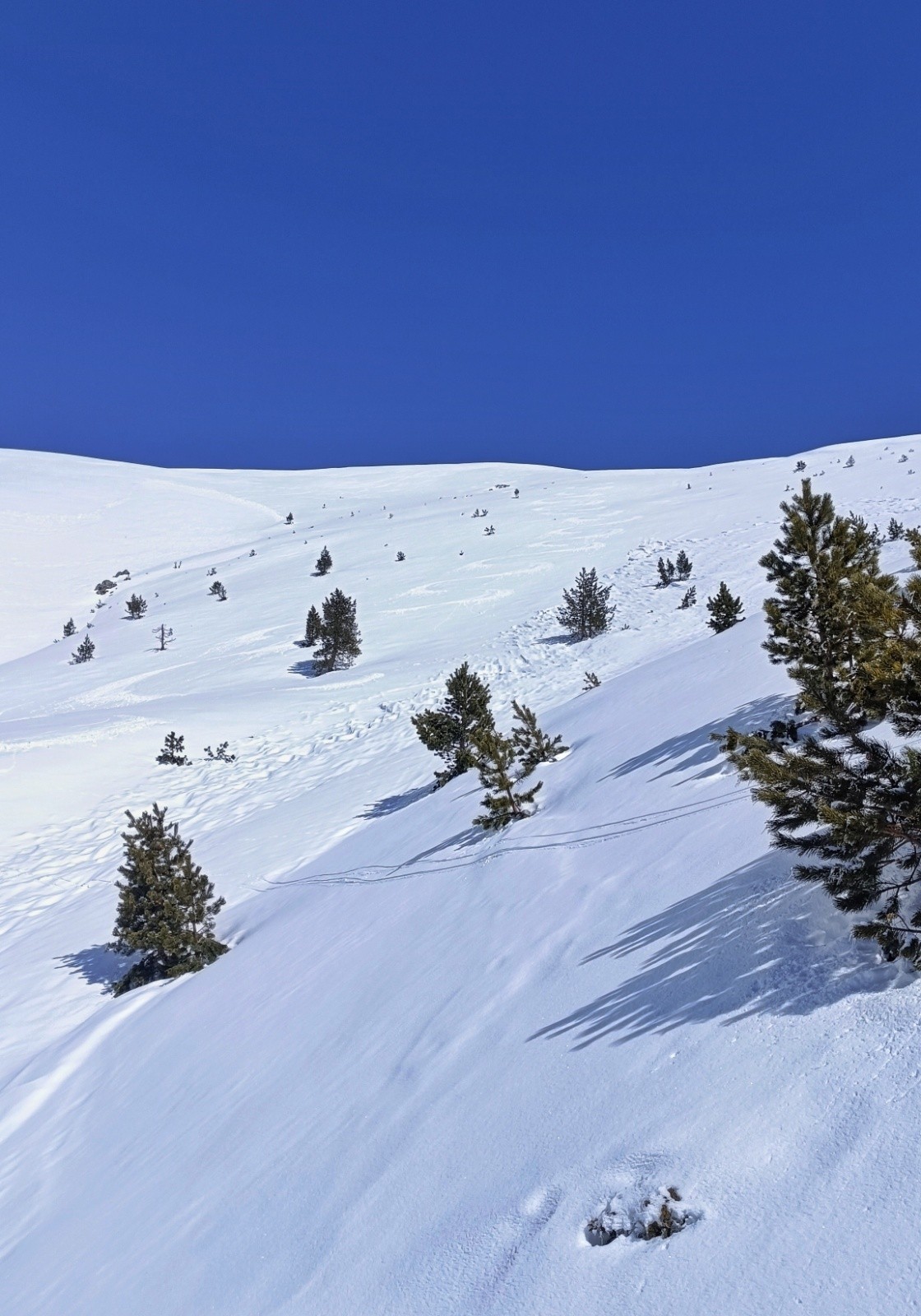 Le bas de la face avant de s'engager dans le ruisseau&nbsp;