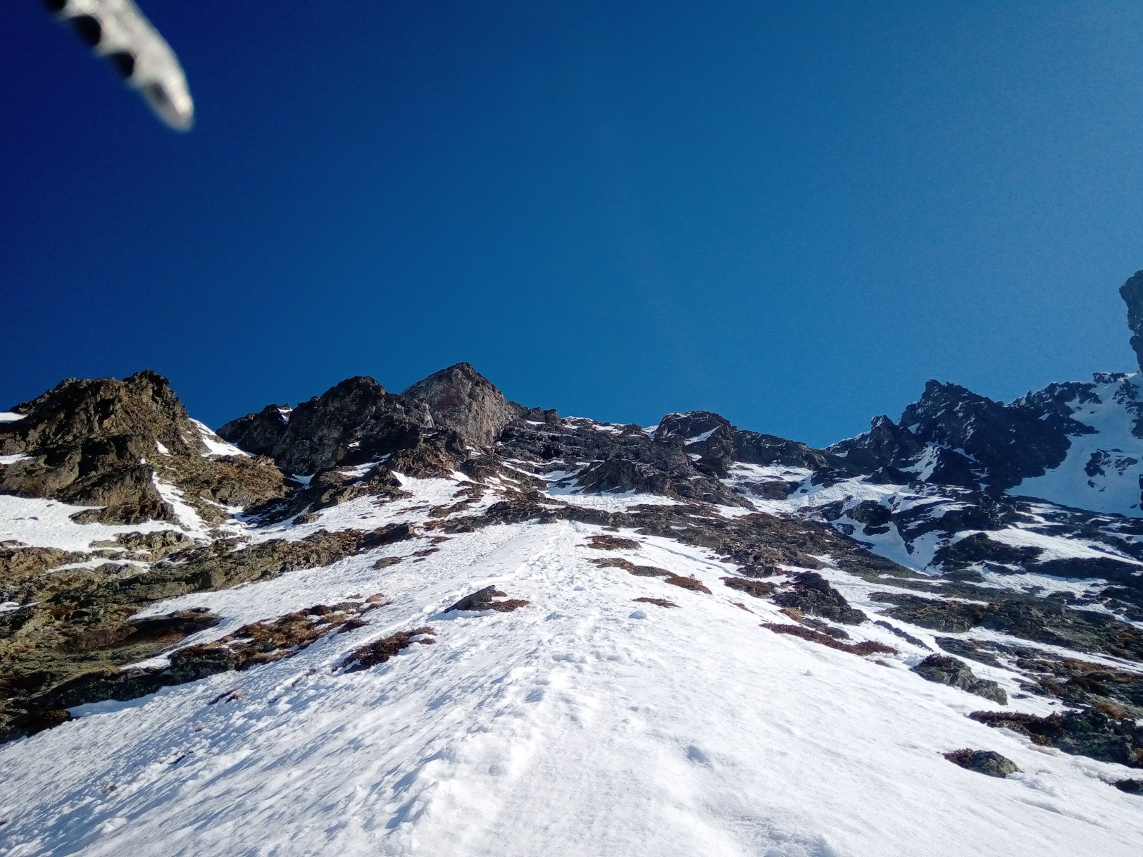 #4 dans la face dans la face