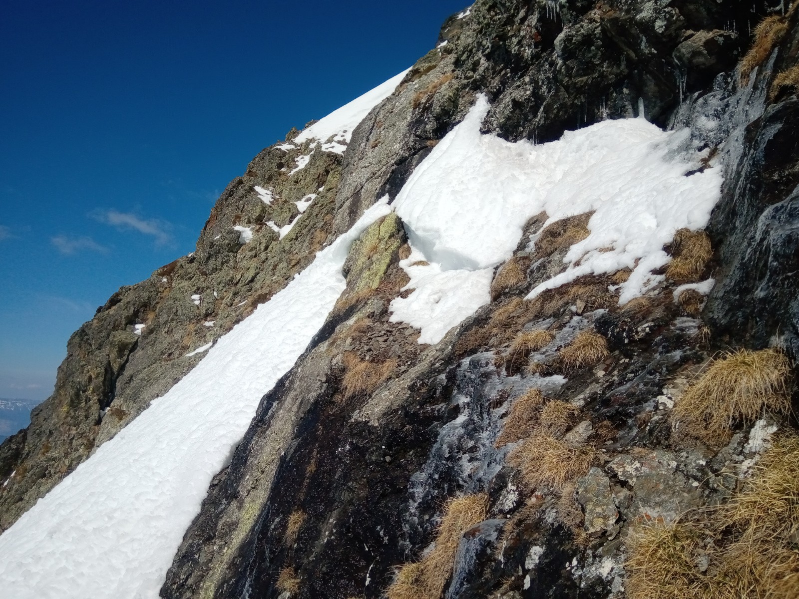 #8 la trav de 5m la trav de 5m