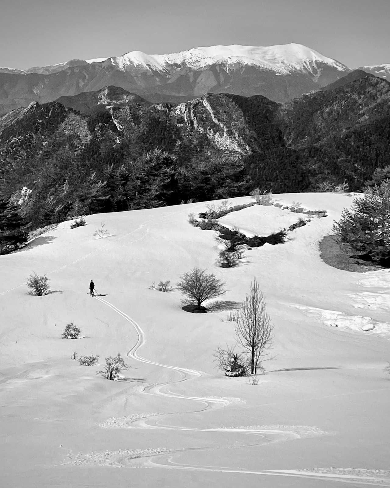 #30 La Meiris La Meiris