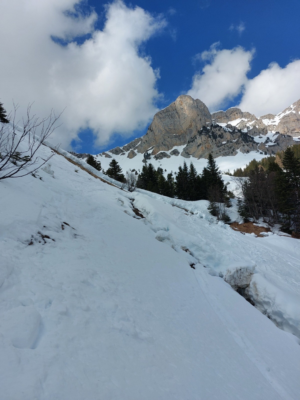 #2 La plaque La plaque