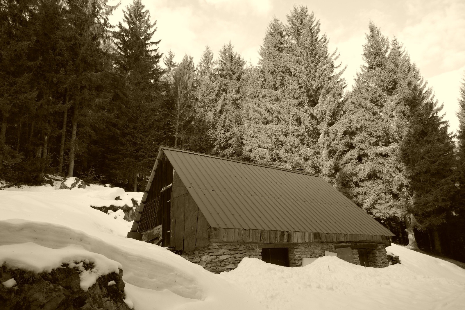 #3 Habert local. Habert local.