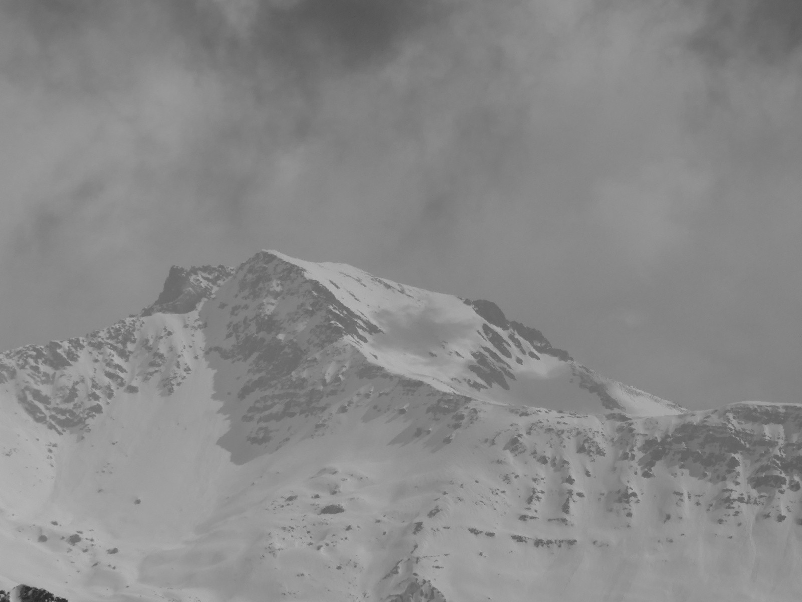 #12 Cheval Blanc! Cheval Blanc!