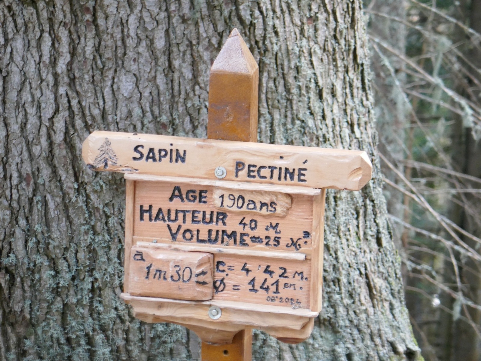 #4 Ca parle aux bucherons l Ca parle aux bucherons l'affaire!