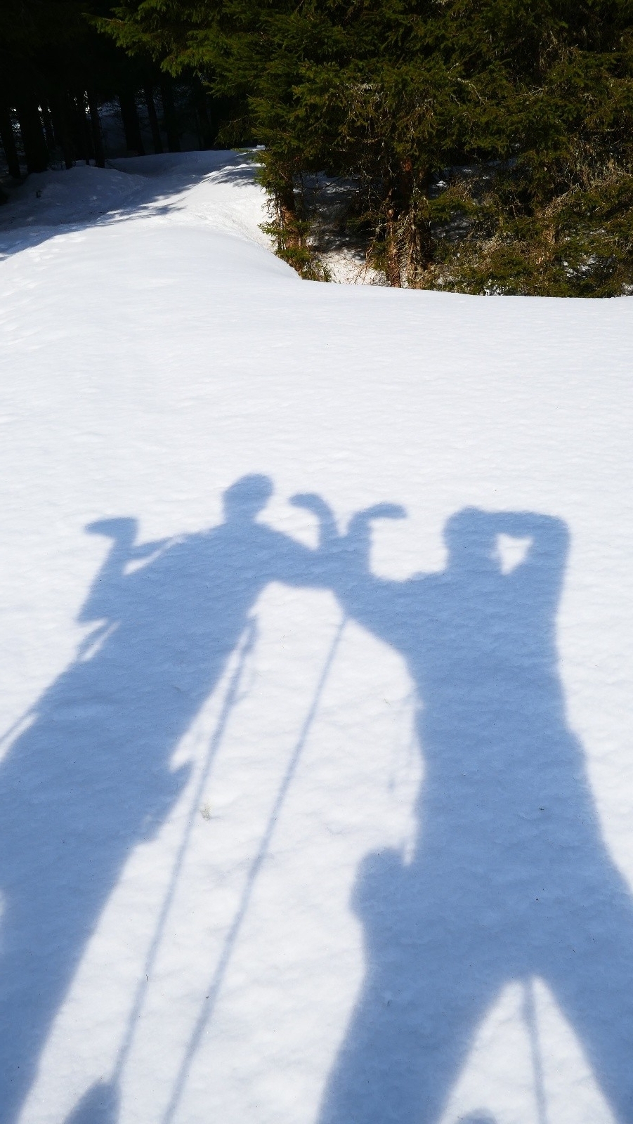 #5 Zinzins du couloir N... Zinzins du couloir N...