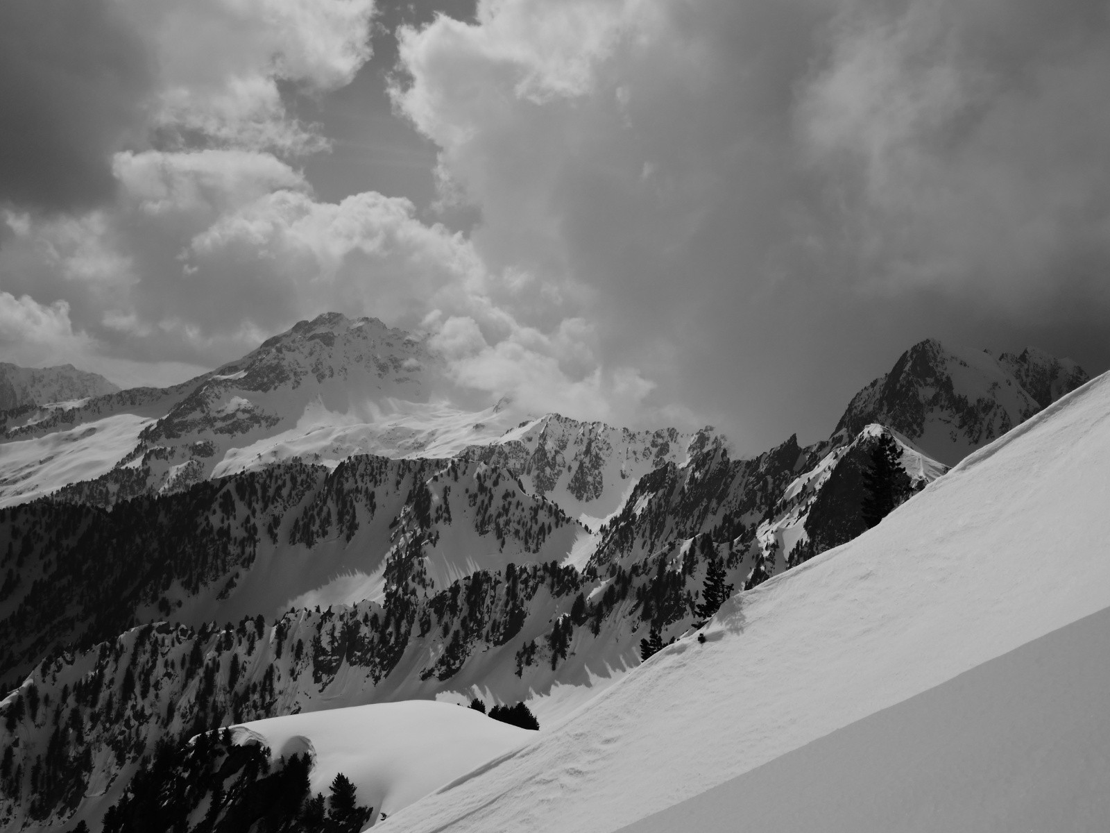 #13 Côté Grand Miceau! Côté Grand Miceau!