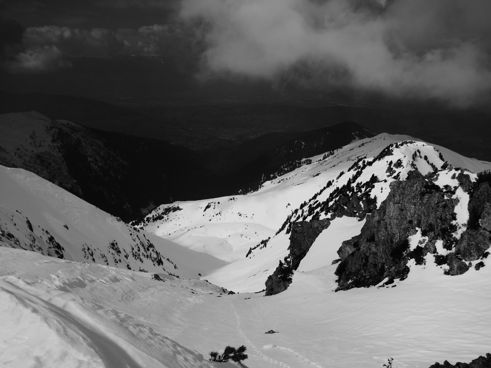 #17 Côté grand canal, Rognier W. Côté grand canal, Rognier W.