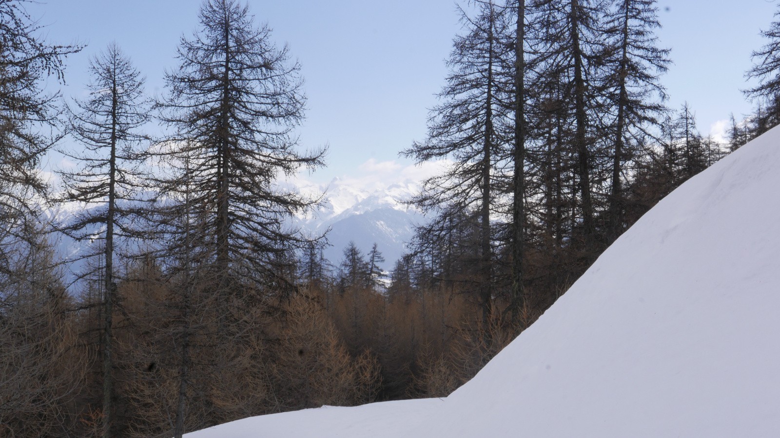 #5 Tout au fond, la Panestrel. Tout au fond, la Panestrel.
